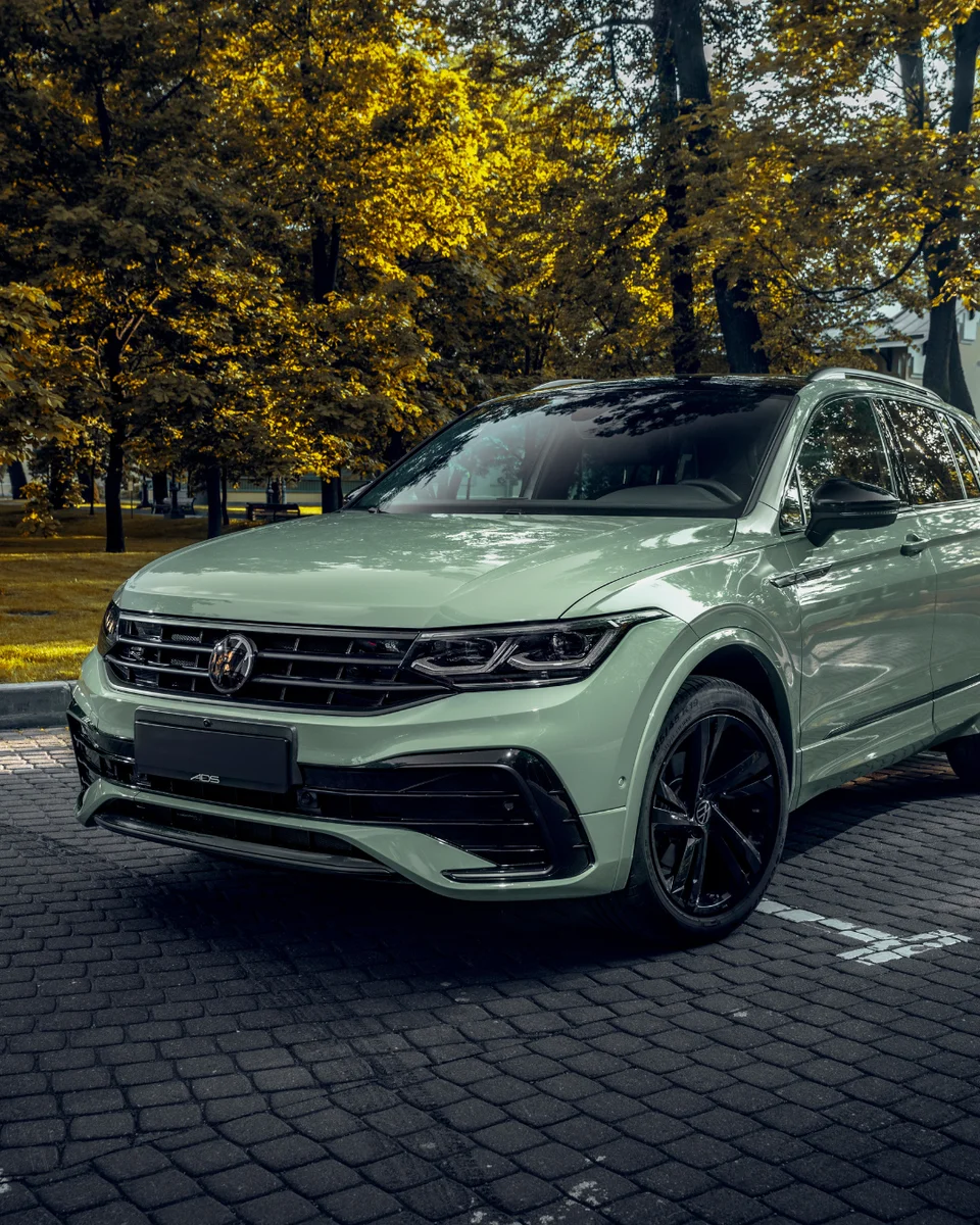 Vinilo Wrap Moss Green | TeckWrap Super Gloss HD - Imagen 2