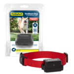 Collar Stubborn Cerca Alámbrica | PetSafe Colombia