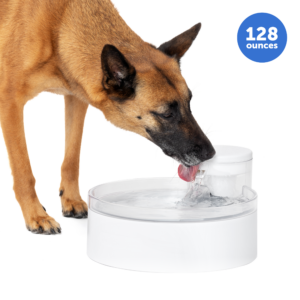 Filtros Fuente Pioneer PetSafe - Agua Pura Siempre | PetSafe