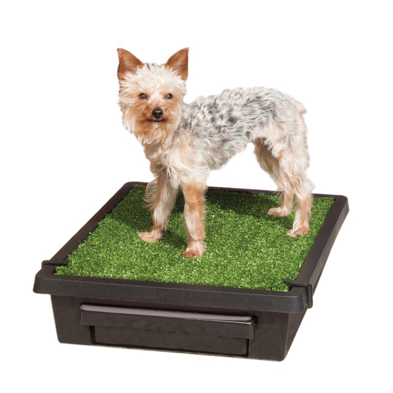 Jardín Portátil PetSafe para Perros Pequeños | Envío Colombia - vista 1
