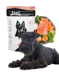 Alimento BARF Salmón Perros | Omega-3 Piel Saludable