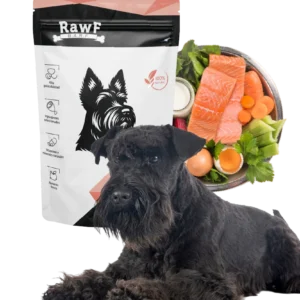Alimento BARF Salmón Perros | Omega-3 Piel Saludable
