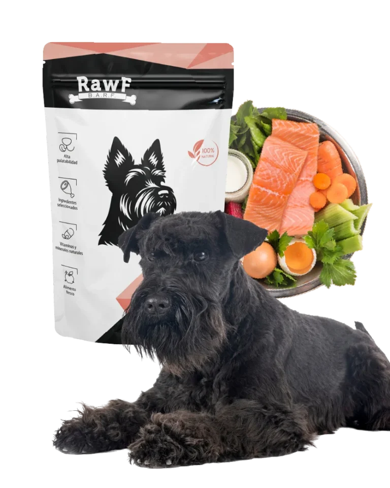 Alimento BARF Salmón para Perros con vegetales para piel y pelaje saludables StarHouse