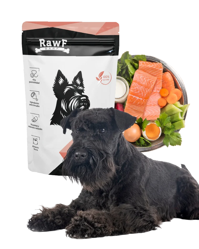 Alimento BARF Salmón Perros | Omega-3 Piel Saludable - Imagen 1