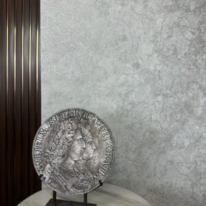 Papel de Colgadura Exclusivo Papel tipo C - Ref. DK25115-1 | Espacios Modernos