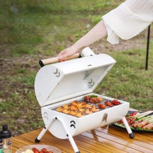 Parrilla De Carbón Portátil Con Cubierta