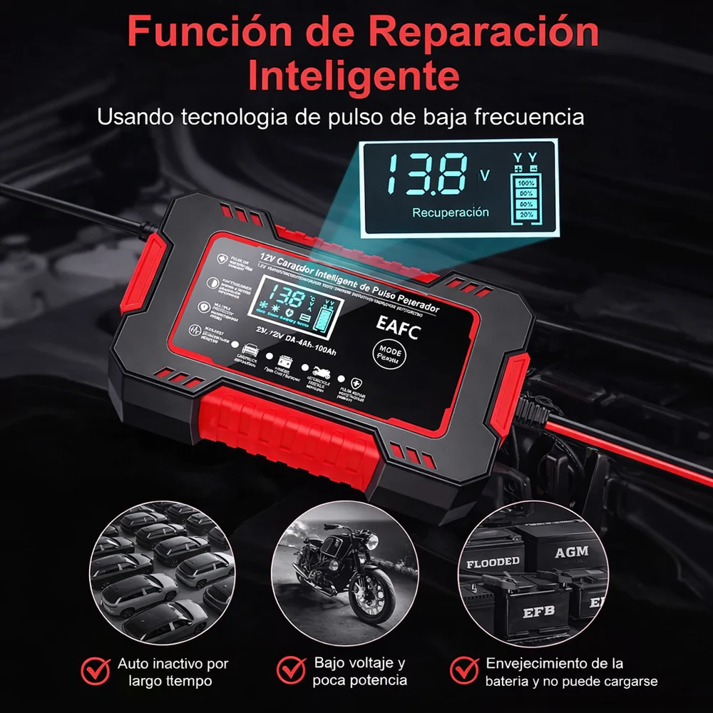 Cargador de Baterías - Imagen 3