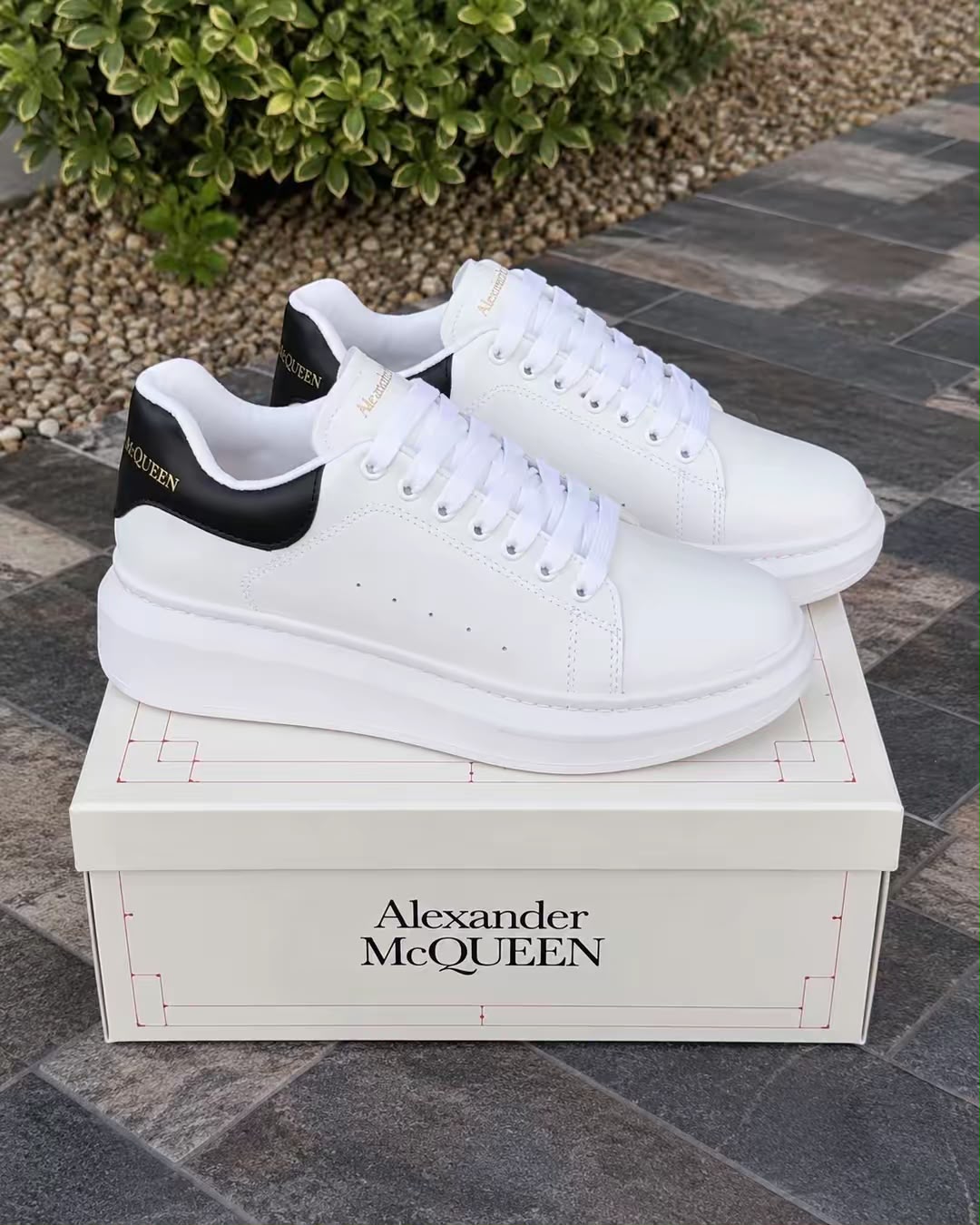 ALEXANDER MQ - Imagen 1
