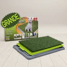 TAPETE PARA PERRO GRANDE - Imagen 3