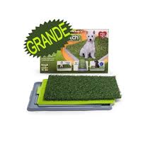TAPETE PARA PERRO GRANDE - Imagen 2
